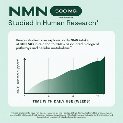 Daily NMN & Resveratrol Complex – Supports Cellular Energy & NAD+ Levels